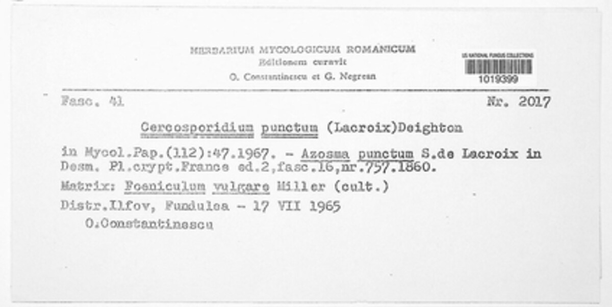 Passalora punctum image